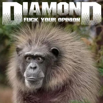 Diamond - Fuck Your Opinion