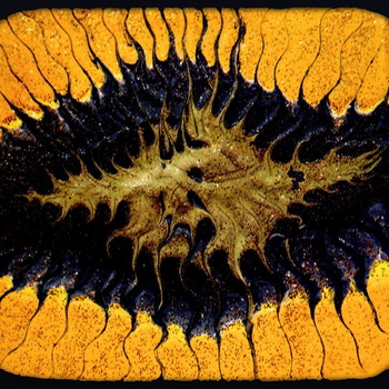 Coram Lethe - … A Splendid Chaos