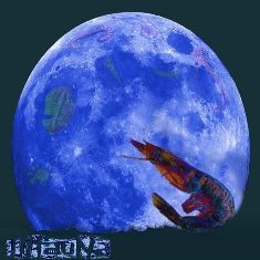 Infauna - E'requiem