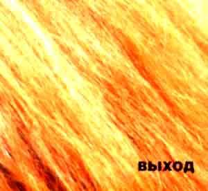 Vykhod - Ryzhyj albom