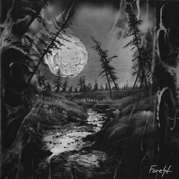 Forest - Forest