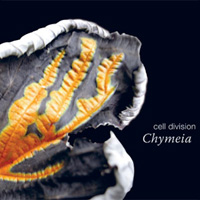 Cell Division - Chymeia