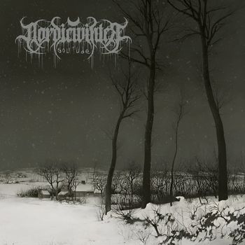 Nordicwinter - Solitude